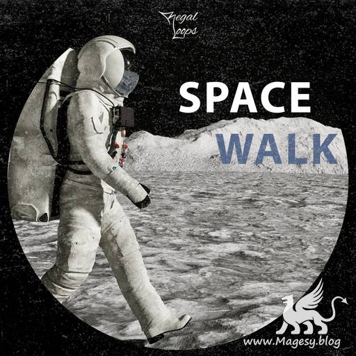 Space Walk WAV-FLARE