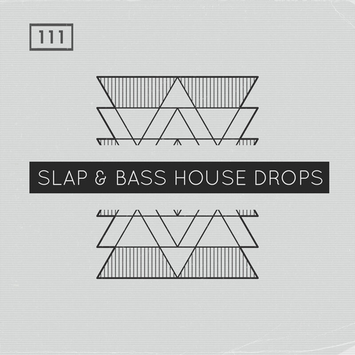 Slap And Bass House Drops WAV REX2 MiDi