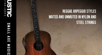 Reggae Guitars MaGeSY R EVOLUTiON