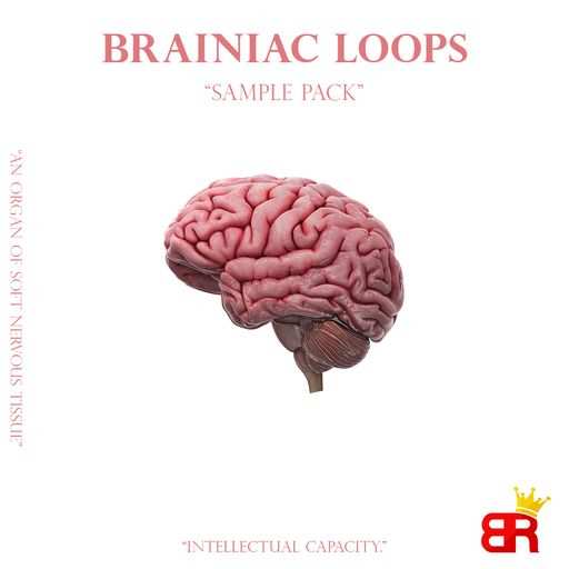 Brainiac Loops WAV-FANTASTiC