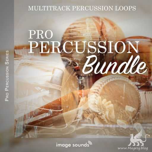 Pro Percussion Bundle WAV