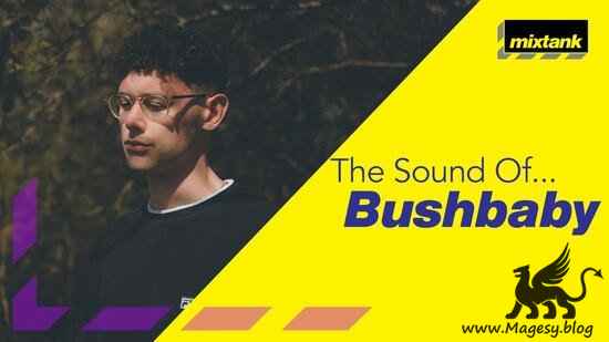 The Sound Of Bushbaby TUTORiAL-DECiBEL