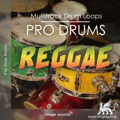 reggae drum kit with triggers
