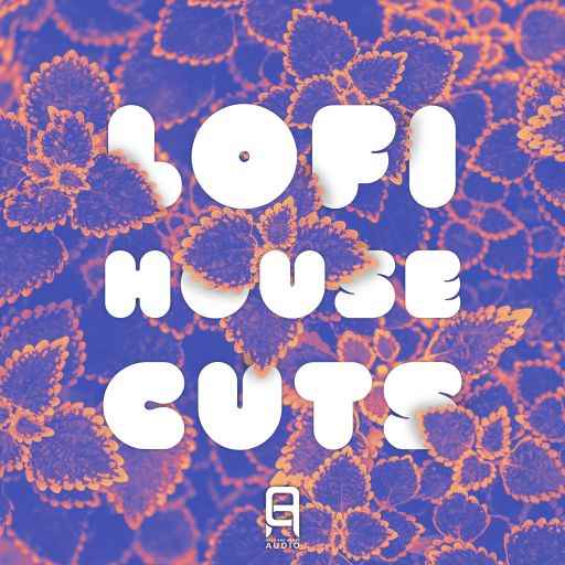 Lo-Fi House Cuts WAV-FANTASTiC