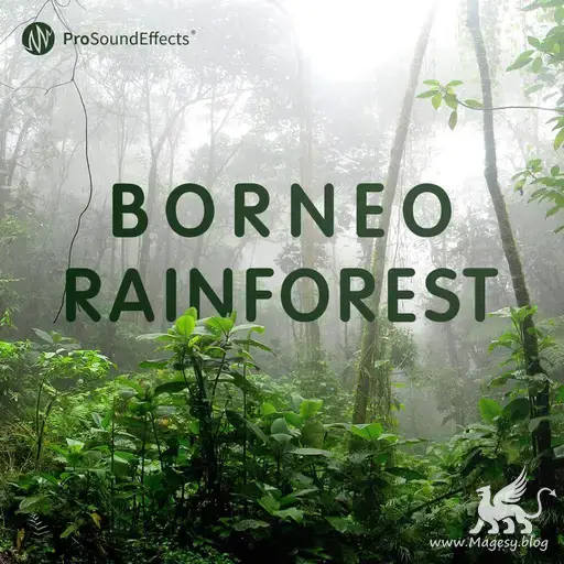 Borneo Rainforest WAV-FANTASTiC-MaGeSY