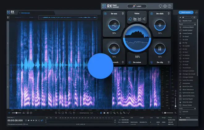 RX 11 Audio Editor-MaGeSY