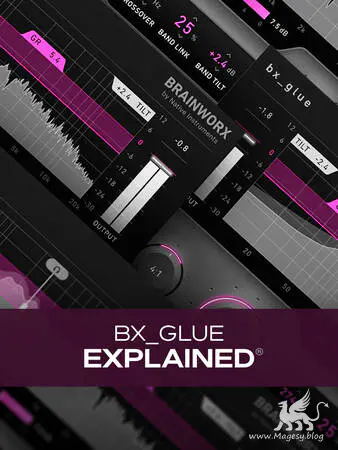 bx_glue Explained TUTORiAL-HiDERA-MaGeSY