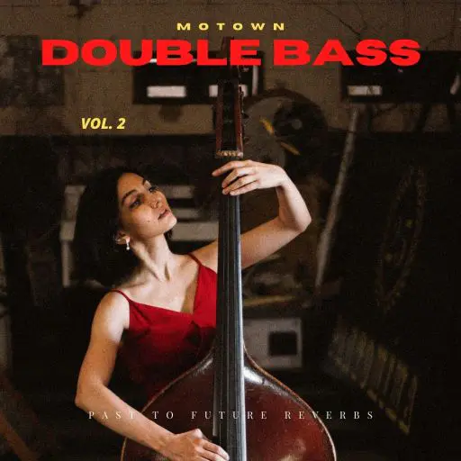 Motown Double Bass Vol.2 KONTAKT-MaGeSY