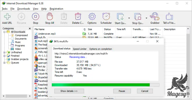 Internet Download Manager v6.42 Build 26 WiN-OneClick-MaGeSY