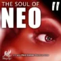 The Soul Of Neo 2 WAV MiDi-MAGNETRiXX-MaGeSY